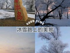-雾凇岛