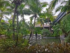 -海南清水湾莱佛士酒店