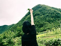 -老虎土菜馆·农家土菜