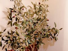 -Ten Olives甜点