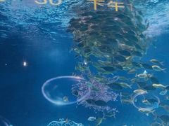 -常州海昌海洋探索馆