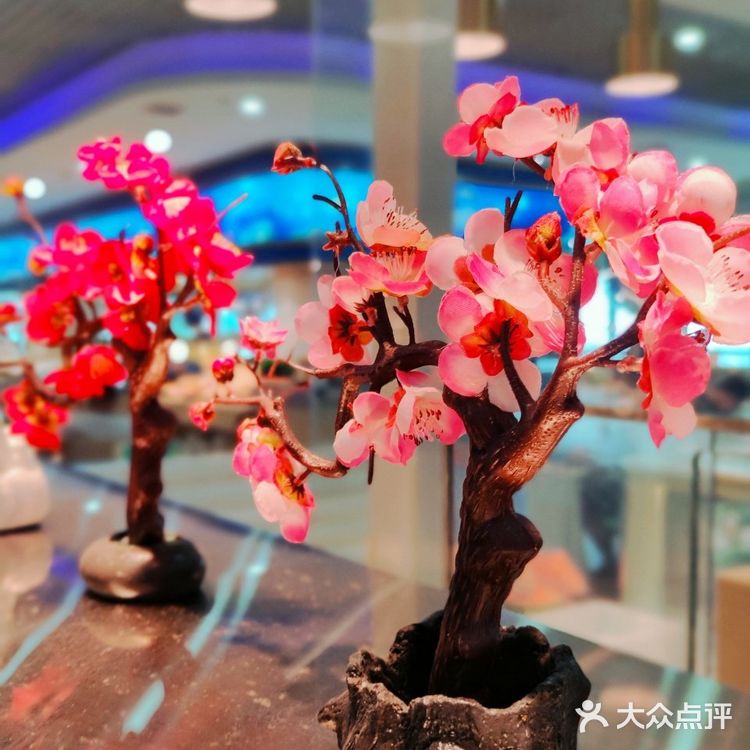 老牌海鲜自助的新生🌸