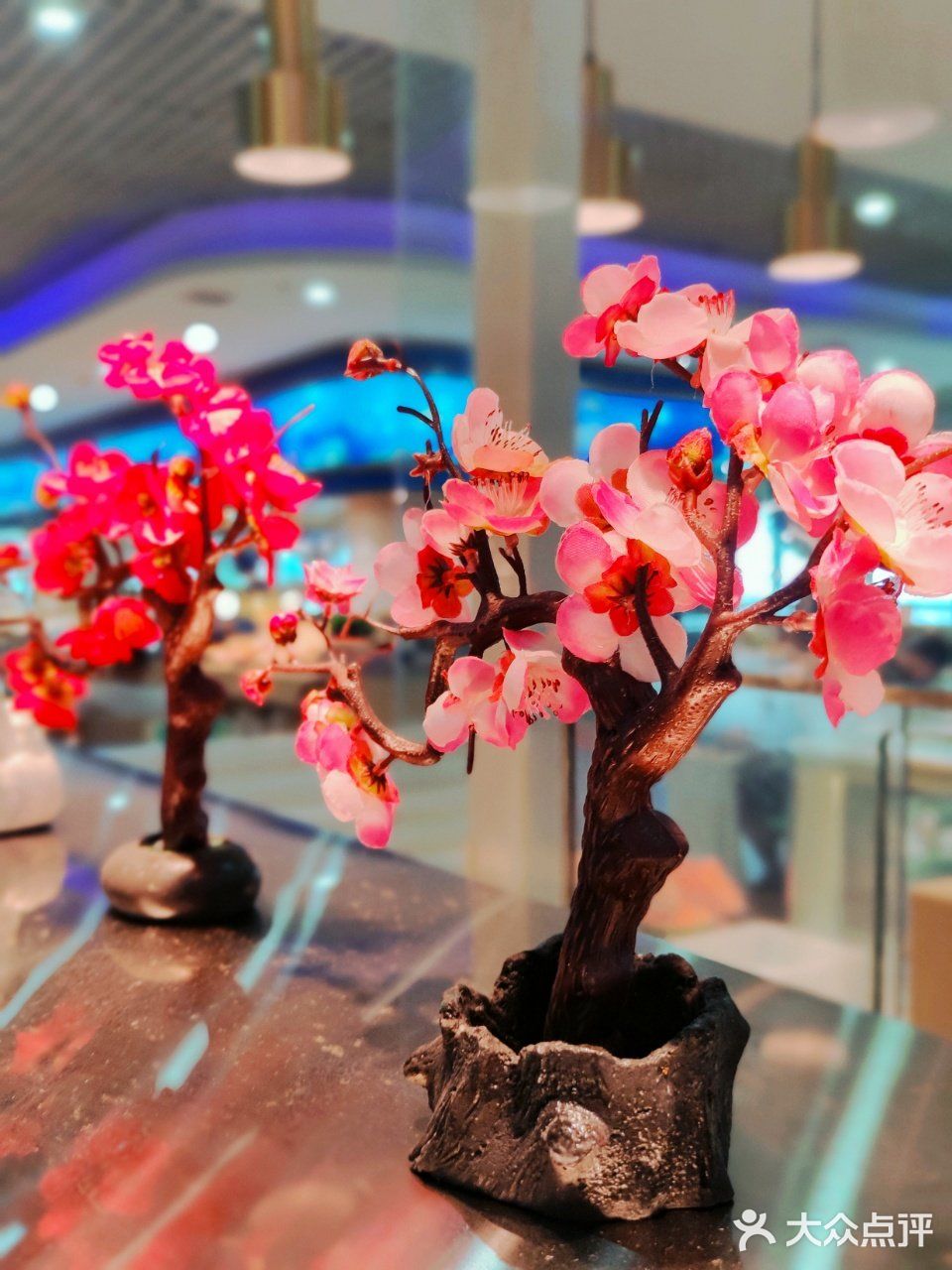 老牌海鲜自助的新生🌸