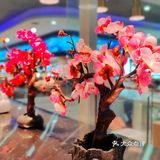 老牌海鲜自助的新生🌸