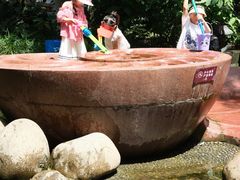-成都市活水公园