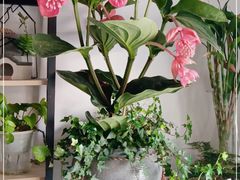 -FEI FEI FLOWER鲜花店·气球派对·宝宝宴布置(虹口德必运动Loft店)