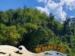 -西双版纳原始森林公园
