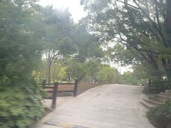 -普陀山风景名胜区-千步大沙