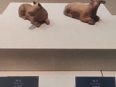 -合浦汉代文化博物馆