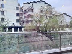 -冶春茶社(珍园店)