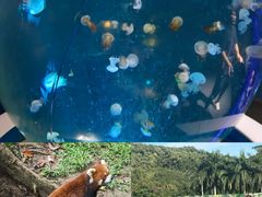 -深圳野生动物园