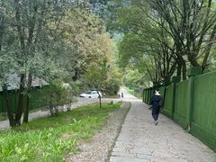 -秦岭终南山世界地质公园翠华山景区