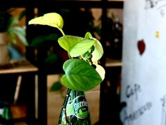 -ZING COFFEE 镜咖啡