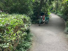 -成都市活水公园