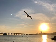 -星海湾跨海大桥