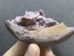 -奈雪的茶(领展中心城店)