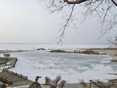 -黑龙江扎龙生态旅游区