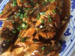 红烧昂刺鱼-邱记私房菜·十八年本地菜