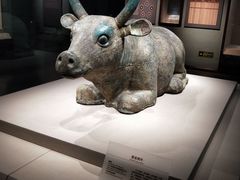 -宁夏博物馆