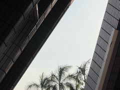 -星光大道