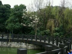 android_upload_pic-峙山公园