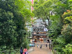 -九龙公园