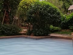 -美的鹭湖森林度假区