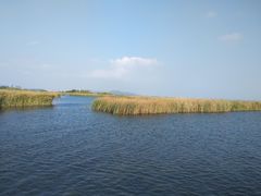 -苏州太湖国际会议中心