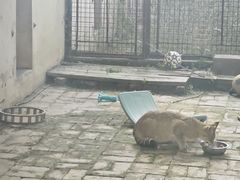 -青藏高原野生动物园