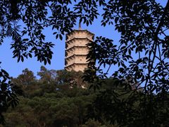 -深圳国际园林花卉博览园