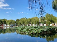 -济南大明湖景区