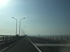 -洋山深水港