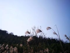 -会稽山峡洞漂流-上青古道