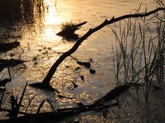 -长春市南湖公园