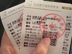 -武商摩尔影城(国广IMAX激光店)