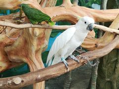 -昆明动物园
