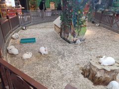 -秦皇岛新澳海底世界