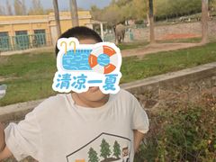 -哈尔滨北方森林动物园