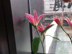 -潮上潮(南中环店)