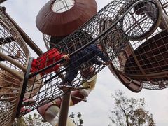 -枫香湖儿童公园