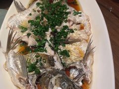 -清水亭湖北菜(大屯DT51店)