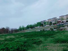 -两河城市森林公园