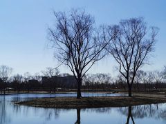 -大兴滨河森林公园