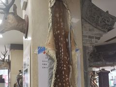 -乔家满族八大碗(流水沟店)