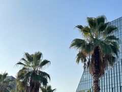 -金沙湖公园