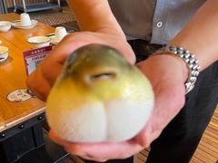 -永安鱼庄·镇江菜(三店纬五路店)