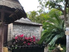 -上海孙中山故居纪念馆