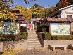 -遵化市禅林寺古银杏风景园