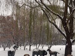 -元大都城垣遗址公园