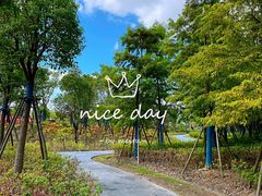 -春花秋色城市公园